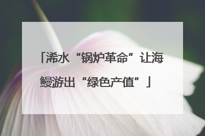 浠水“锅炉革命”让海鳗游出“绿色产值”