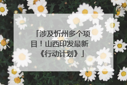 涉及忻州多个项目！山西印发最新《行动计划》
