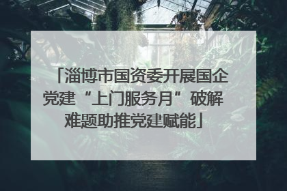 淄博市国资委开展国企党建“上门服务月”破解难题助推党建赋能