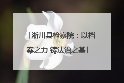 淅川县检察院：以档案之力 铸法治之基