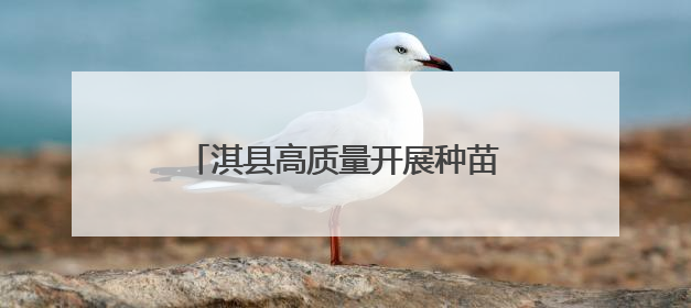 淇县高质量开展种苗管理工作 夯实生态文明建设“绿色根基”
