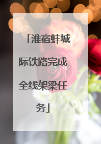 淮宿蚌城际铁路完成全线架梁任务