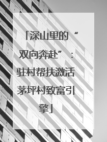 深山里的“双向奔赴”：驻村帮扶激活茅坪村致富引擎