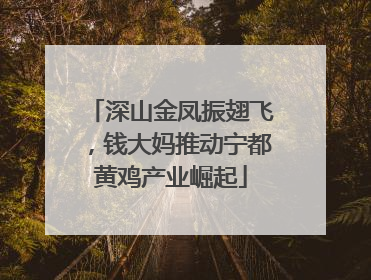 深山金凤振翅飞，钱大妈推动宁都黄鸡产业崛起