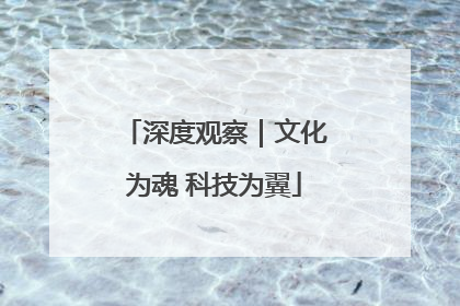 深度观察｜文化为魂 科技为翼