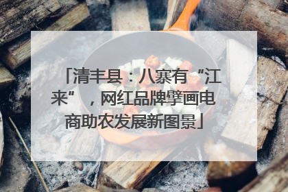 清丰县：八寨有“江来”，网红品牌擘画电商助农发展新图景