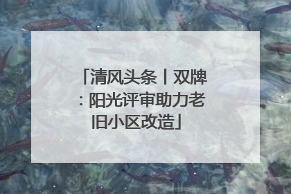 清风头条丨双牌：阳光评审助力老旧小区改造