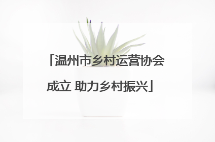 温州市乡村运营协会成立 助力乡村振兴