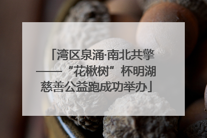 湾区泉涌·南北共擎——“花楸树”杯明湖慈善公益跑成功举办