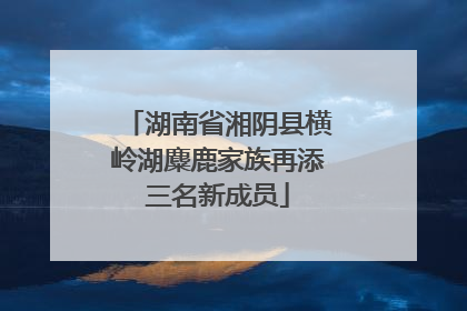湖南省湘阴县横岭湖麋鹿家族再添三名新成员