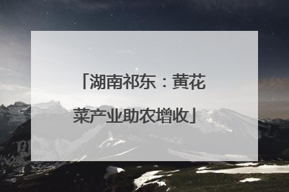 湖南祁东：黄花菜产业助农增收