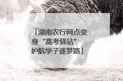 湖南农行网点变身“高考驿站” 护航学子逐梦路