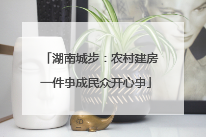 湖南城步：农村建房一件事成民众开心事