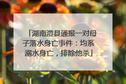 湖南澧县通报一对母子落水身亡事件：均系溺水身亡，排除他杀