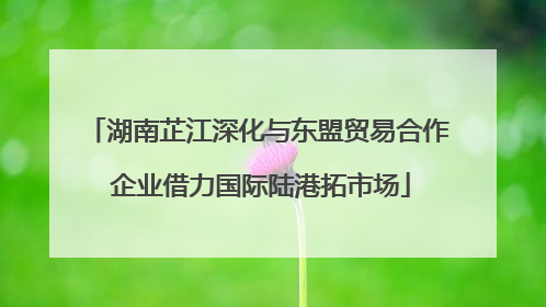 湖南芷江深化与东盟贸易合作 企业借力国际陆港拓市场