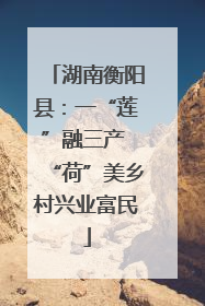 湖南衡阳县：一“莲”融三产 “荷”美乡村兴业富民