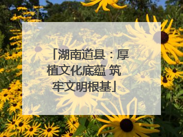 湖南道县：厚植文化底蕴 筑牢文明根基