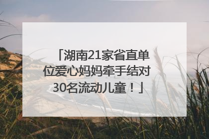 湖南21家省直单位爱心妈妈牵手结对30名流动儿童！