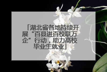 湖北省各地持续开展“百县进百校联万企”行动，助力高校毕业生就业