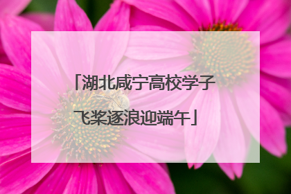 湖北咸宁高校学子飞桨逐浪迎端午