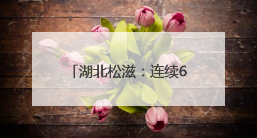 湖北松滋：连续6年，“书记论坛”抢“千万红包”