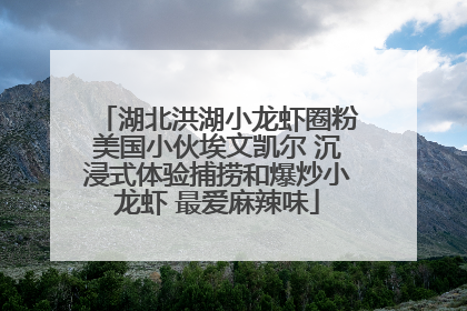湖北洪湖小龙虾圈粉美国小伙埃文凯尔 沉浸式体验捕捞和爆炒小龙虾 最爱麻辣味