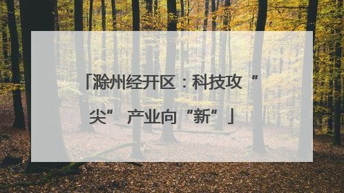 滁州经开区：科技攻“尖” 产业向“新”