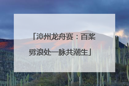 漳州龙舟赛：百桨劈浪处一脉共潮生