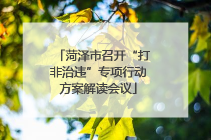 菏泽市召开“打非治违”专项行动方案解读会议