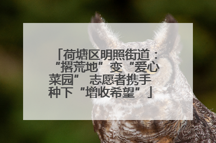 荷塘区明照街道：“撂荒地”变“爱心菜园” 志愿者携手种下“增收希望”