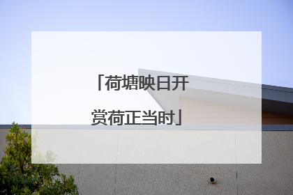 荷塘映日开 赏荷正当时