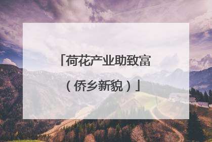 荷花产业助致富（侨乡新貌）