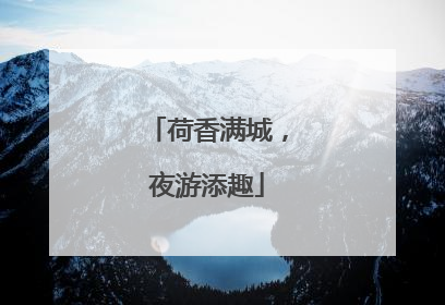荷香满城，夜游添趣