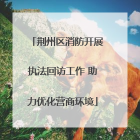 荆州区消防开展执法回访工作 助力优化营商环境
