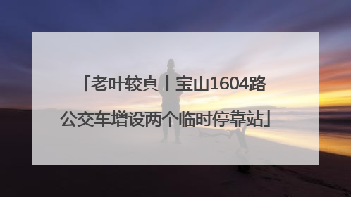 老叶较真丨宝山1604路公交车增设两个临时停靠站