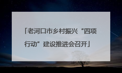 老河口市乡村振兴“四项行动”建设推进会召开
