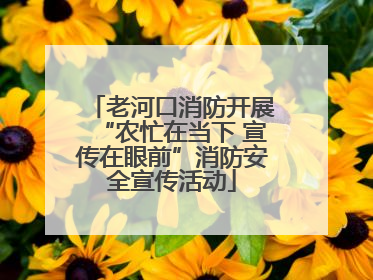 老河口消防开展“农忙在当下 宣传在眼前”消防安全宣传活动