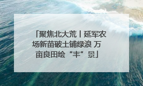 聚焦北大荒丨延军农场新苗破土铺绿浪 万亩良田绘“丰”景