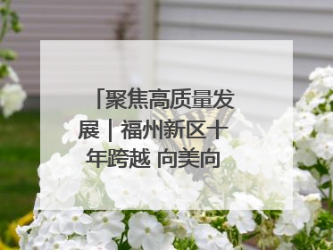 聚焦高质量发展｜福州新区十年跨越 向美向绿向质向新