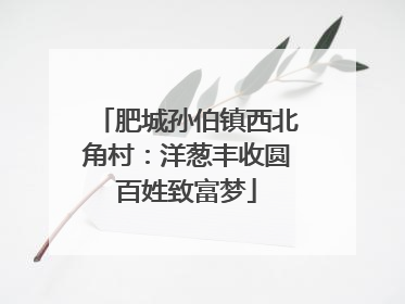 肥城孙伯镇西北角村：洋葱丰收圆百姓致富梦
