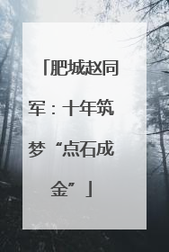 肥城赵同军：十年筑梦“点石成金”
