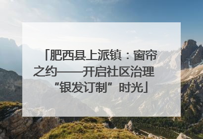 肥西县上派镇：窗帘之约——开启社区治理“银发订制”时光