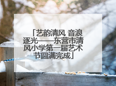 艺韵清风 音浪逐光——东营市清风小学第一届艺术节圆满完成
