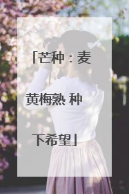 芒种：麦黄梅熟 种下希望