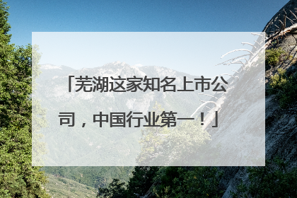 芜湖这家知名上市公司，中国行业第一！