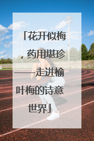 花开似梅，药用堪珍——走进榆叶梅的诗意世界