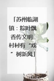 苏州临湖镇：粽叶飘香传文明 村村有“戏”树新风