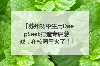 苏州初中生用DeepSeek打造专属游戏，在校园里火了！