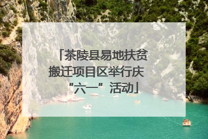 茶陵县易地扶贫搬迁项目区举行庆“六一”活动