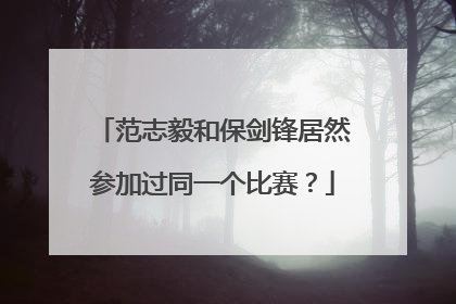 范志毅和保剑锋居然参加过同一个比赛？